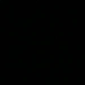 Meet your Posher, Koree